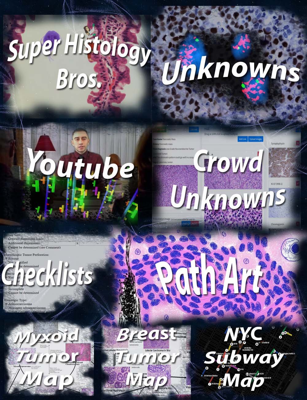 Dr. double B website navigation map